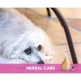 thumbnail image 3 of Gou Gou Pets Holistic Natural Derived Calming Pet Essential Oil Blend & Diffuser Set for Anxiety: Relax Your Pet with Natural and Clean Ingredients While Providing Stress Relief - Made in USA – 15mL, 3 of 10
