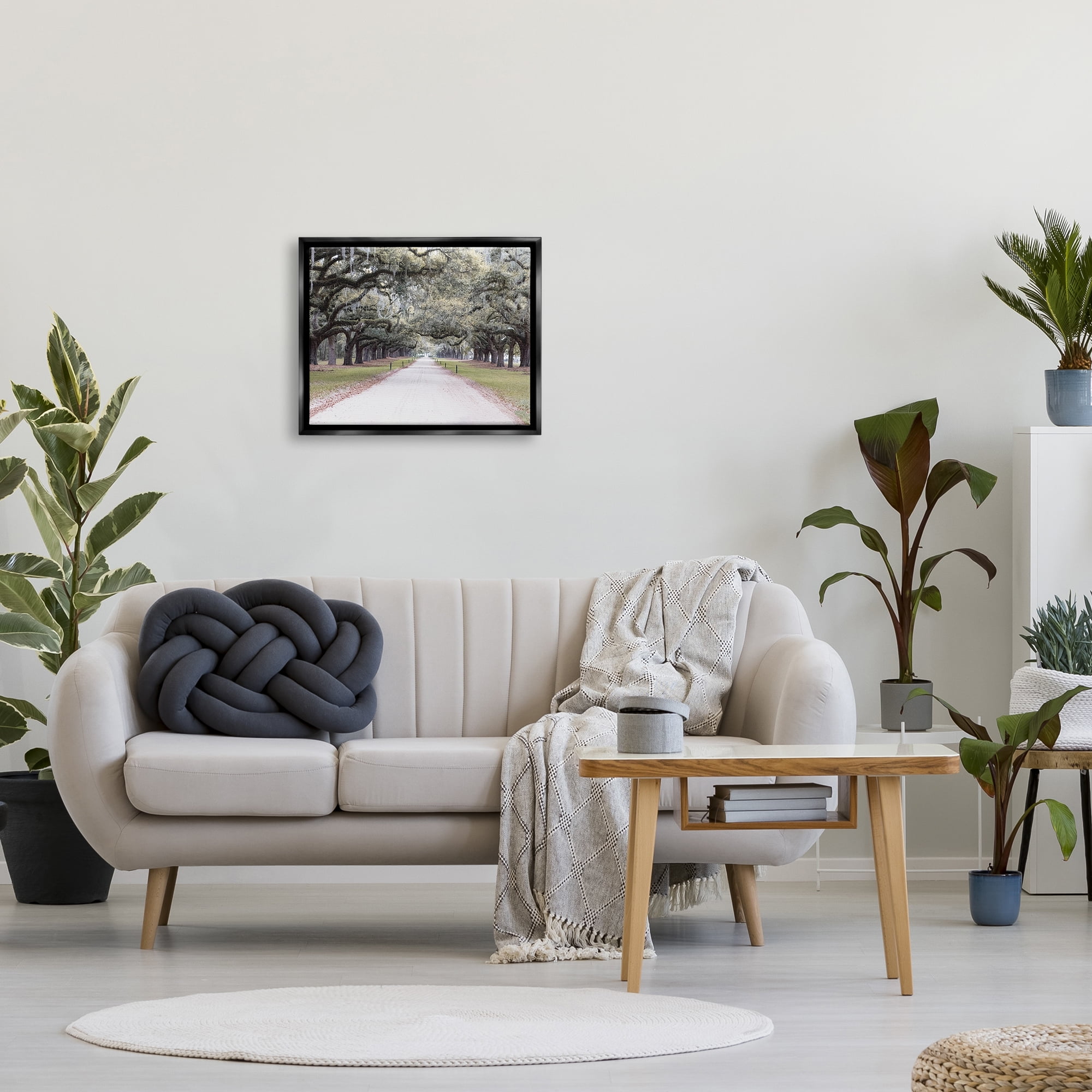 Stupell Industries Tree Grove Path Photography Landscape Photography Black Floater Framed Canvas Art Print Wall Art, 21 x 17