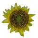 thumbnail image 3 of Brote de girasol artificial Simulación de brotes de flores Ramo de fiesta de boda Accesorios de bricolaje, 24 piezas, 10 cm Scienceny HA7119-08B, 3 of 6