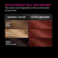 thumbnail image 5 of Garnier Olia Oil Powered Permanent Hair Color, 6.60 Light Intense Auburn, 5 of 9