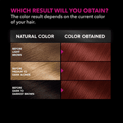Garnier Olia Oil Powered Permanent Hair Color, 6.60 Light Intense Auburn