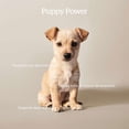 thumbnail image 3 of Puppy GF - Nourriture Sèche pour Chien, 3 of 5