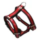 thumbnail image 1 of Pechera Para Perro De Piel Autentica Talla 4 Ajustable, 1 of 8