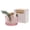 A, variant on Natural Crystal Aromatherapy Passive Home Cordless Waterless Diffuser (without Oils) Summer