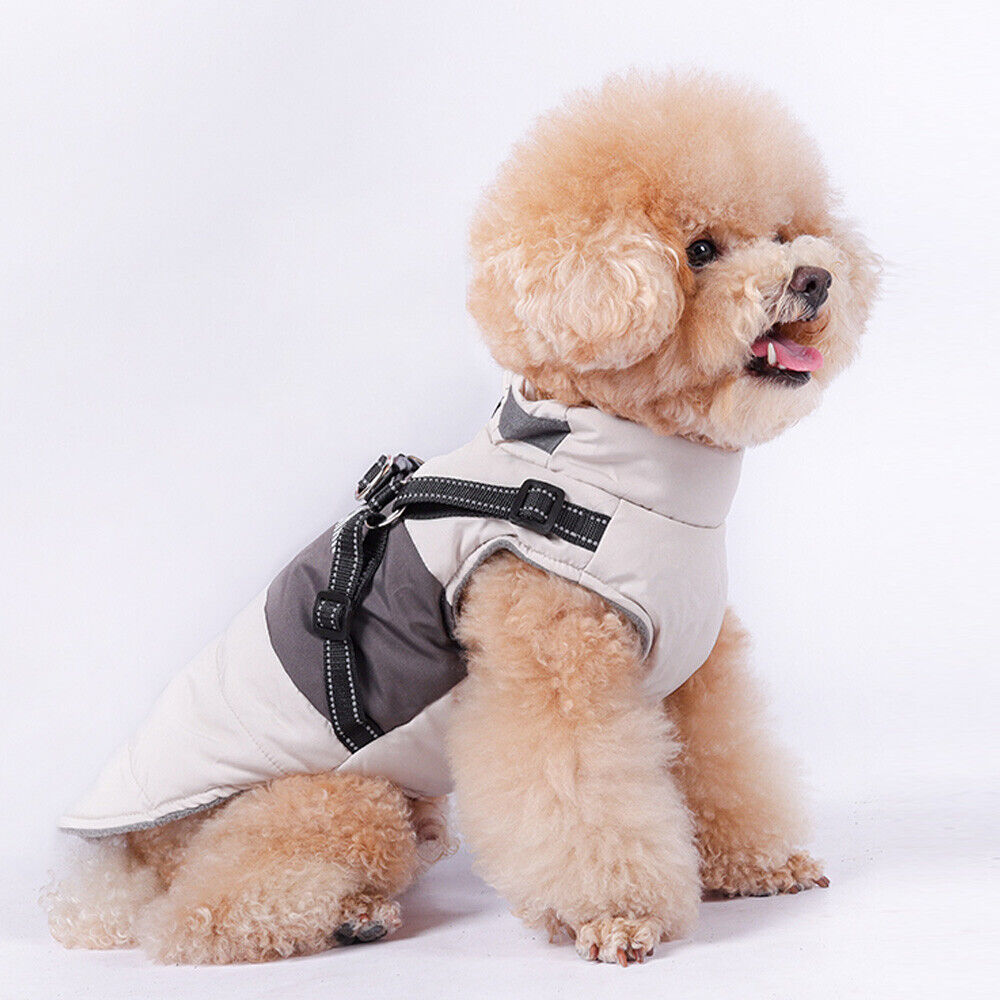 Didog Dog Jacket With Harness Warm Dog Clothes Waterproof Puppy Coat Chihuahua French Bulldog