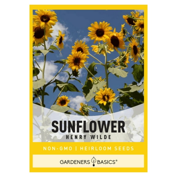 Henry Wilde Sunflower Seeds