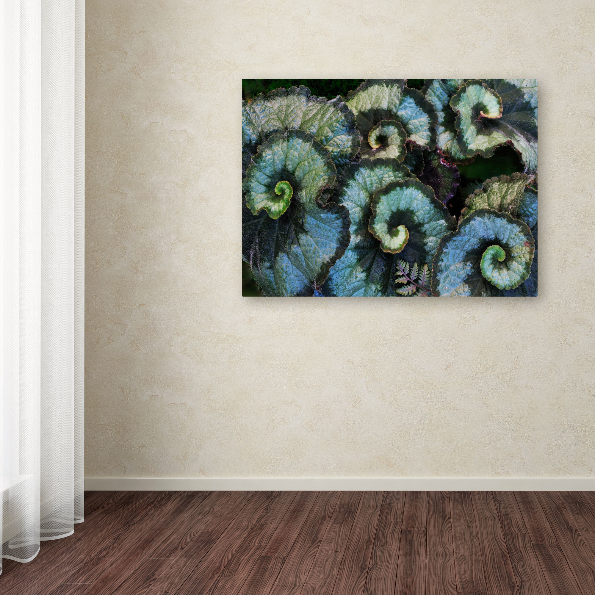 Trademark Fine Art "Escargot Begonia" Canvas Wall Art by Kurt Shaffer