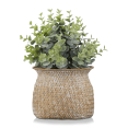 thumbnail image 1 of Bouclair Plante Artificielle Verte en Pot, 1 of 7