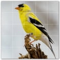 thumbnail image 1 of Picture-Tiles.com: Bird Ceramic Tile Wall Mural WAL500167-55M. 30"W x 30"H using (25) 6" x 6" Ceramic Tiles-Satin Finish, 1 of 3
