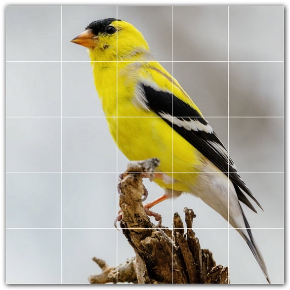 Picture-Tiles.com: Bird Ceramic Tile Wall Mural WAL500167-55M. 30"W x 30"H using (25) 6" x 6" Ceramic Tiles-Satin Finish