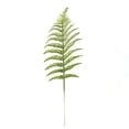 thumbnail image 1 of Hojas Brillantes, Helechos, Hojas Tropicales Para Bodas, Arreglos Florales Navideños, Coronas, Decoraciones Para Árboles En Interiores Y Exteriores Durante Las Fiestas., 1 of 3
