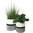 thumbnail image 5 of omh ORGANIZE MY HOME Decorative Baskets for Plants| 9- & 11-inch Pots for Indoor Plants | Floor Planter Pot Cover | Rope Plant Basket for Indoor (Small 9" Round, Ivory/Black), 5 of 8