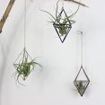thumbnail image 2 of zhongxinda Hanging Tillandsia Air Plants Rack Metal Geometric Iron Art Rustic Flower Planter Pot Plants Rack For Home Garden, 2 of 5