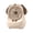 Pink, variant on Sktrjpolfis Cartoon Dog Misting Fan, USB Powered Table Fan, Adjustable Speed, Evaporative Cooling & Humidifying, for Bedroom Office