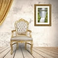 thumbnail image 3 of Taylor, Douglas 17x24 Gold Ornate Wood Framed with Double Matting Museum Art Print Titled - Water Under the Bridge, 3 of 4