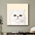 thumbnail image 2 of PixonSign Canvas Print Wall Art White Cat Portrait Animals Wildlife Photography Realism Rustic Colorful Multicolor Cool for Living Room, Bedroom, Office - 24"x24", 2 of 5