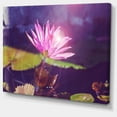 thumbnail image 2 of Fleur de Lotus Rose sur Fond Bleu - Impression sur Toile Florale, 2 of 3
