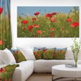 thumbnail image 1 of Wild Poppy Flowers in Green Garden - Floral Canvas Art print, 1 of 3