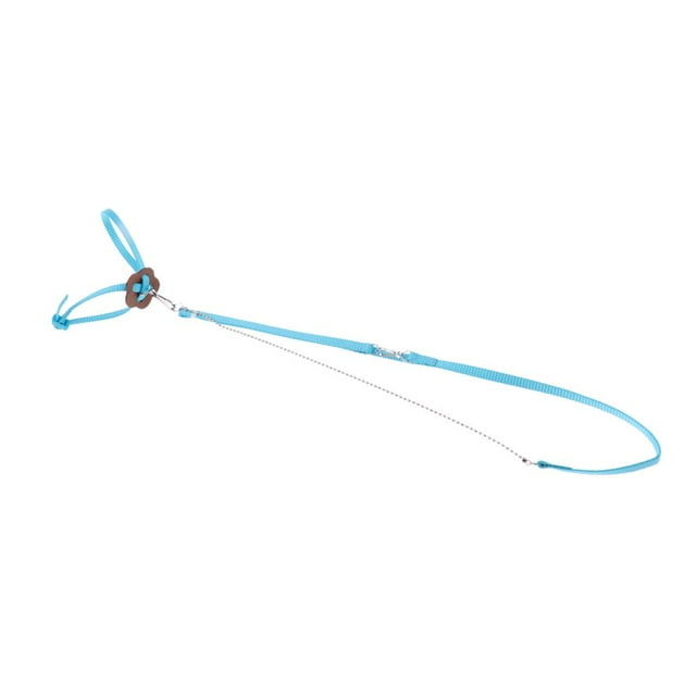 DOLITY Harnais pour Animal de Compagnie Réglable pour Dragon Barbu Reptile Créature Laisse Bleu