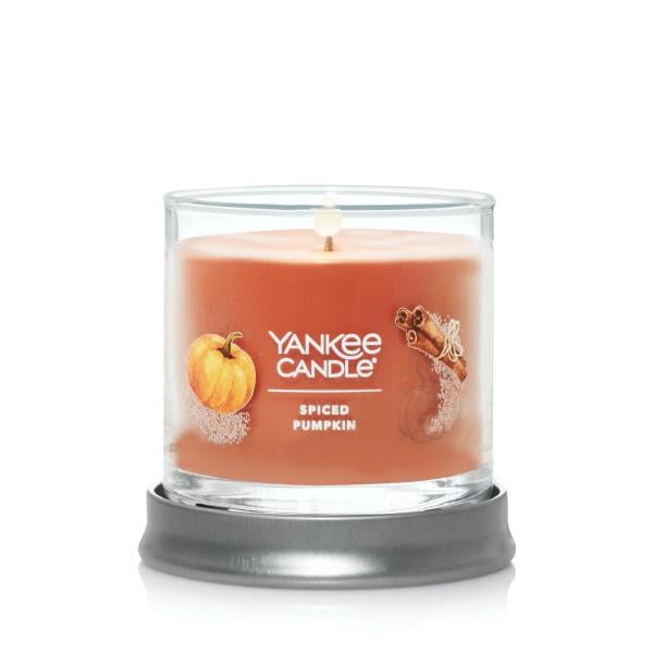 Yankee Candle Small Tumbler Scented Single Wick Jar Candle, Spiced Pumpkin, 4.3 oz (Pack of 2)