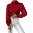 thumbnail image 2 of Lilgiuy Women's Turtleneck Long-sleeved Casual Sweater Pullover Sweater for Party Club Birthday, 2 of 5