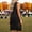 Black, variant on Long Vest for Women with Fringe Shawl Wrap Asymmetrical Hem Sleeveless Open Front Cardigan Lightweight Layering Black L