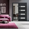 thumbnail image 3 of Sliding Closet Bypass Doors with Frosted Glass | Veregio 7455 Antracite| Sturdy Rails Moldings Trims Hardware Set | Wood Solid Bedroom Wardrobe Doors -36" x 80" (2* 18x80), 3 of 6