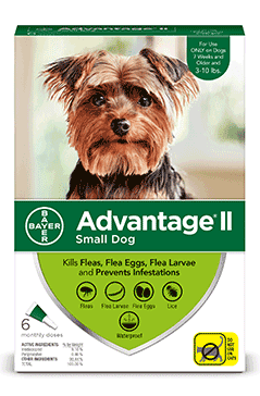 advantage flea control for dogs