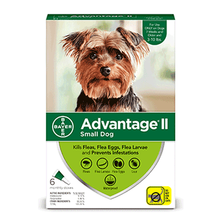 Advantage II Flea Treatment for Small Dogs, 6 Monthly (Best Price Advantage For Dogs)
