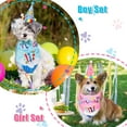 thumbnail image 4 of Dog Birthday Party Supplies Decorations Dog Girl Birthday Bandanas Set with Dog Birthday Hat with Birthday Numbers, Scarf, Birthday Banner, Balloons and Bowtie Pink, 4 of 6