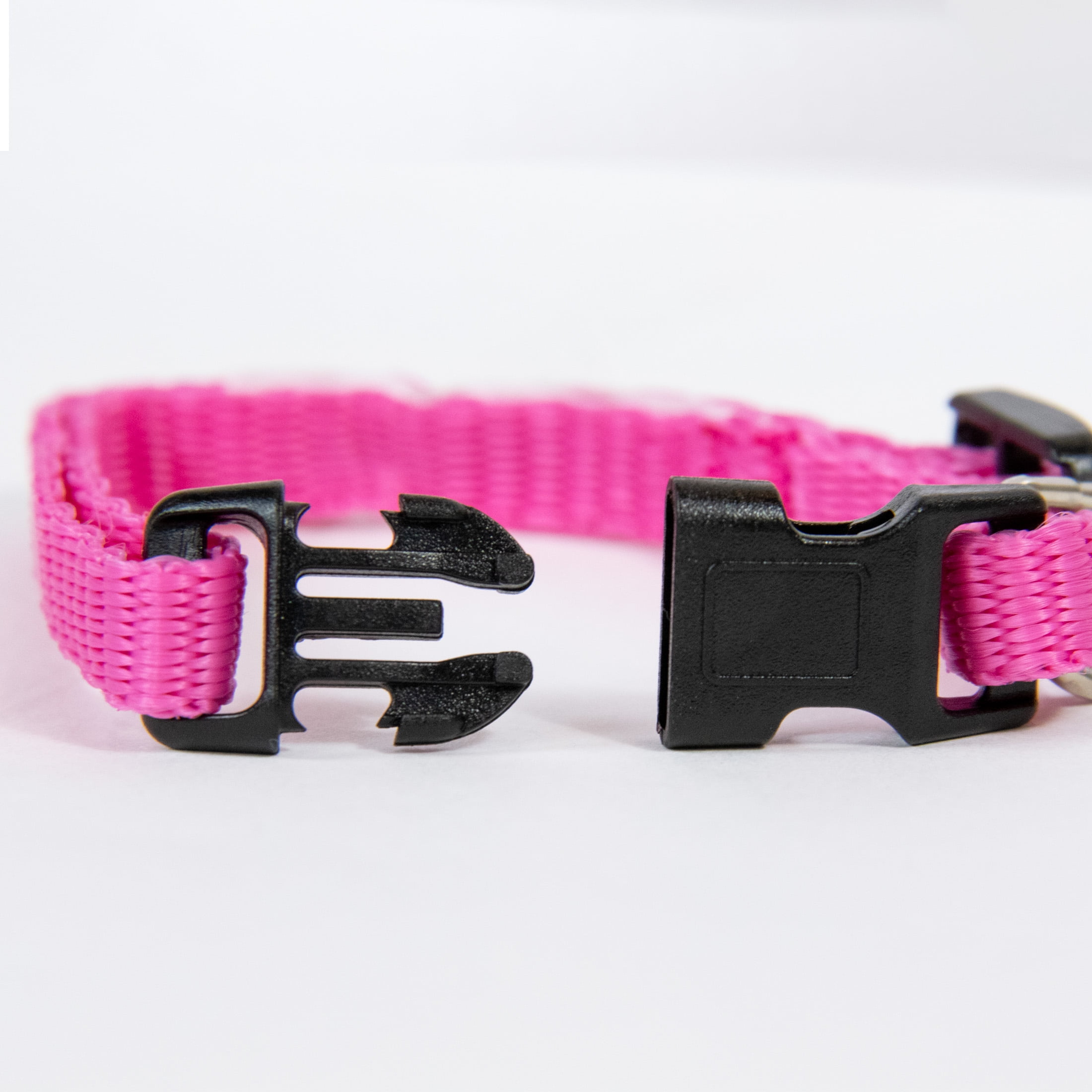 (6 pack) Pet Champion Dog Collar Small Pink, 1.0 CT