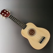 Likegreen 21 Inch Ukulele Beginning Kit for Beginner Kids Students with Accessories
