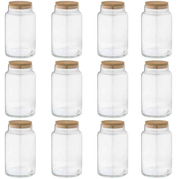 12 Pack: 9" Terrarium Jar with Cork by Ashland