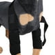 thumbnail image 5 of Protector de compresión para la articulación de la rodilla del perro, color negro - S, 5 of 9