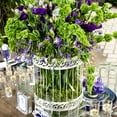 thumbnail image 2 of Weddingstar Classic Round Decorative Birdcage in Ivory, 2 of 3