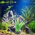 thumbnail image 2 of LEORX 10Pcs Realistic Grass-like Aquarium Decor Ornaments for Fish Tank Accessories 3.9x1.2in, 2 of 8