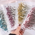 thumbnail image 3 of SPRING PARK 12Pcs Pressed Dried Flowers for DIY Arts Crafts Resin Jewelry Making Accessory, 3 of 7