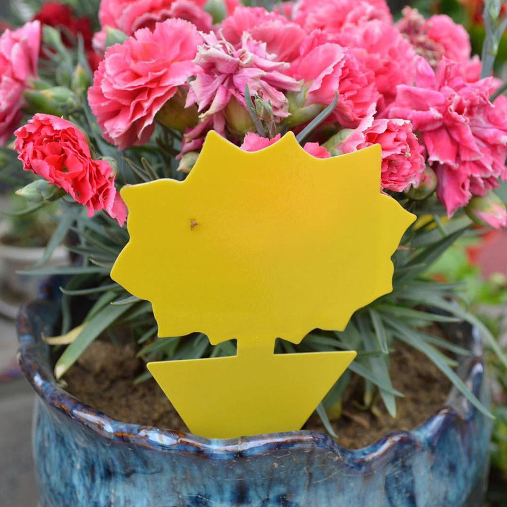 50 Pcs Sticky Fly Trap Paper Yellow Traps Fruit Flies Insect Glue Catcher Set