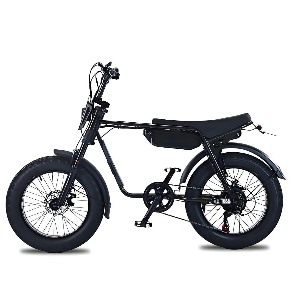 20" Electric Bike for Adults,750W Electric Mountain Bike,48V 13Ah Removable Battery,Shimano 7-Speed,40 Miles of Range,Black