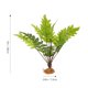 thumbnail image 2 of unbranded Planta Decorativa Para De Reptiles Multicolor Con Base Estable Y Natural, 2 of 6