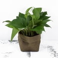 thumbnail image 2 of Almacenamiento del organizador del bolso  respetuosa del medio ambiente reutilizable de la bolsa de papel decorativa 10x10x20cm kusrkot  Maceta para plantas suculentas, 2 of 8