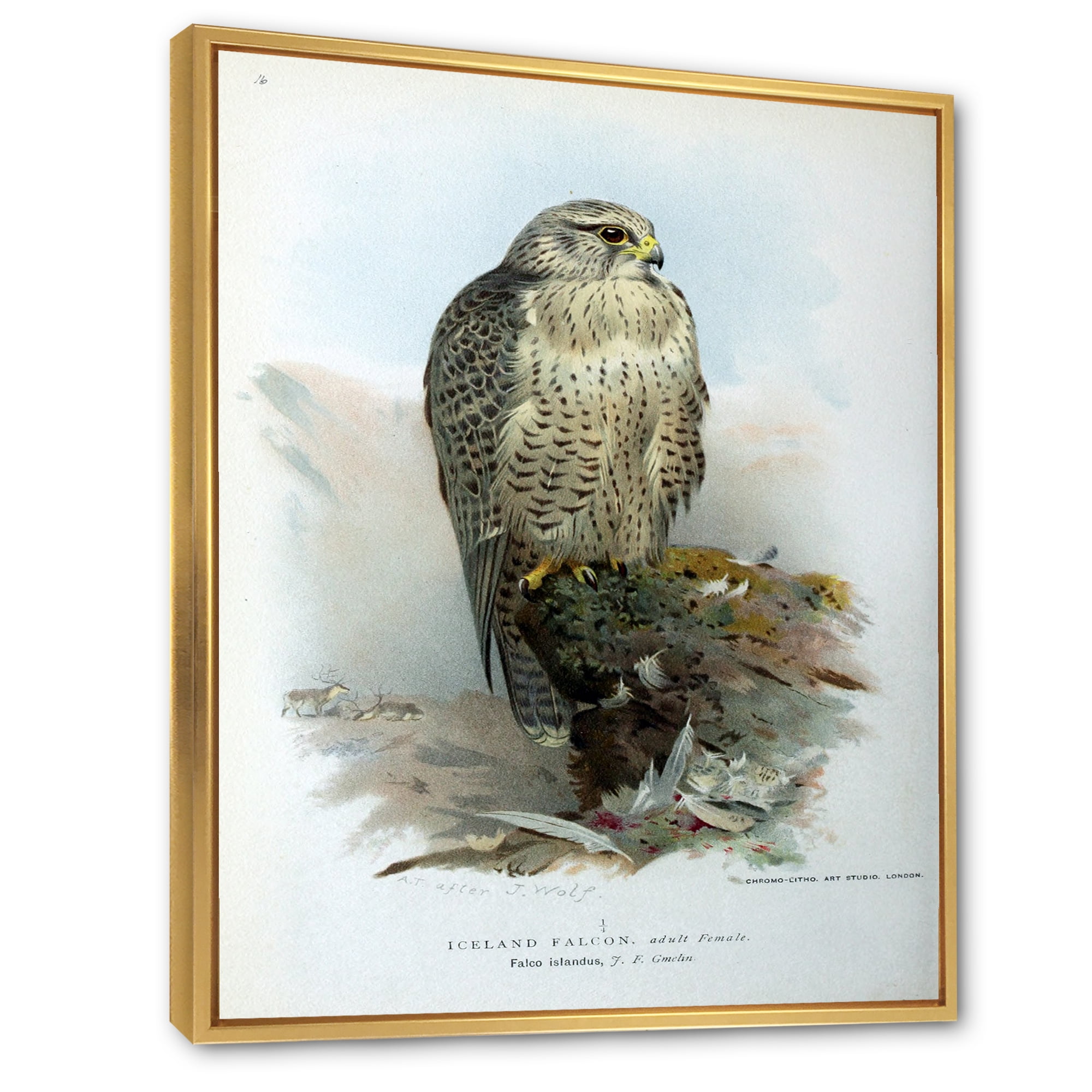 Designart 'Ancient Bird Life V' Traditional Framed Canvas Wall Art Print