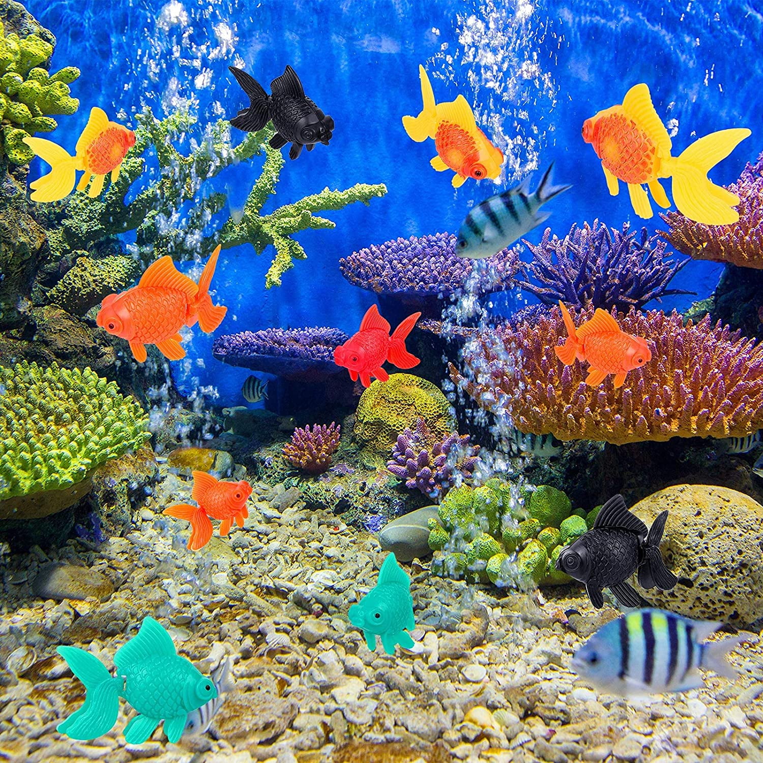 marine aquarium screensaver hdmi marine aquarium screensaver hdmi