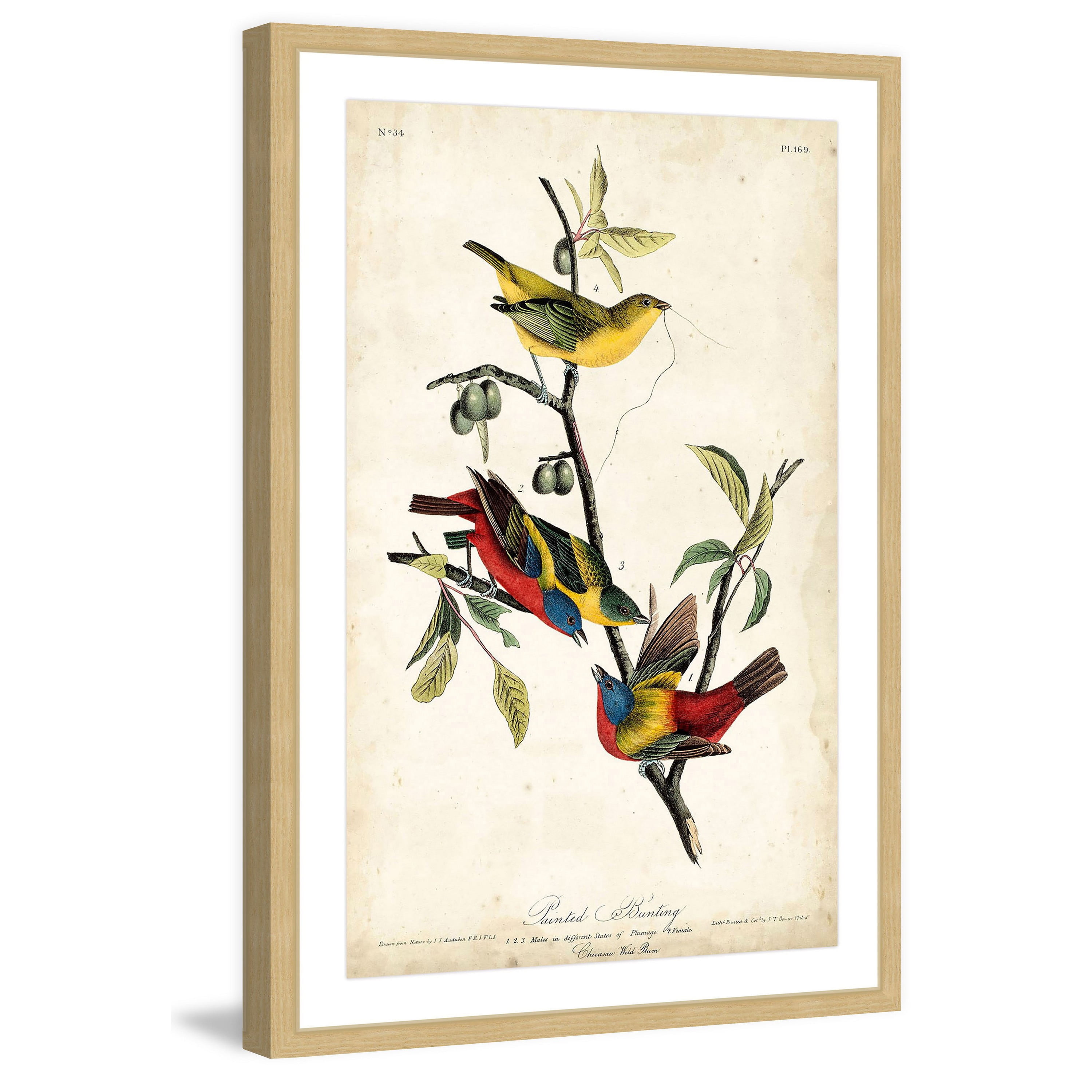 Marmont Hill "Bunting" Framed Painting Print