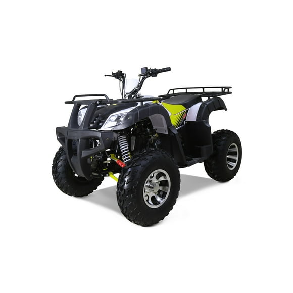 Tao Motor Bull200s 169cc Gas 4-Stroke Engine Adult ATV (Assembly Required), Green
