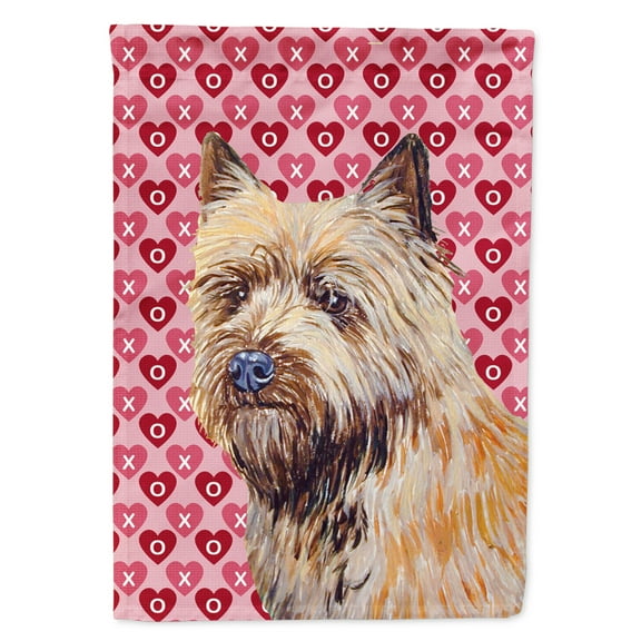 Carolines Treasures LH9140-FLAG-PARENT Cairn Terrier Hearts Love and Valentines Day Portrait Flag  multicolor