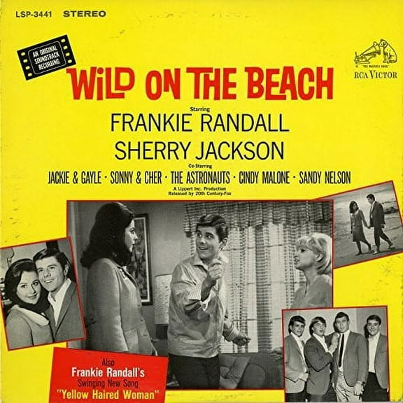 Wild on the Beach / O.S.T. - Wild On the Beach Soundtrack - Music & Performance - CD