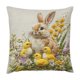 thumbnail image 2 of Spring Cute Pet Patterns Imitation Embroidery Cushion Cover Soft Throw Pillow Cover For Sofa And Chair Ideal Choice For Spring Easter Sofa And Bedroom Decor, 2 of 6