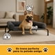 thumbnail image 3 of Cama para Perro Elevada con Cojines | Casa Moderna para Mascotas | Ergonómica, Fresca y Resistente | Uso Interior/Exterior(90 x 65 cm), 3 of 9