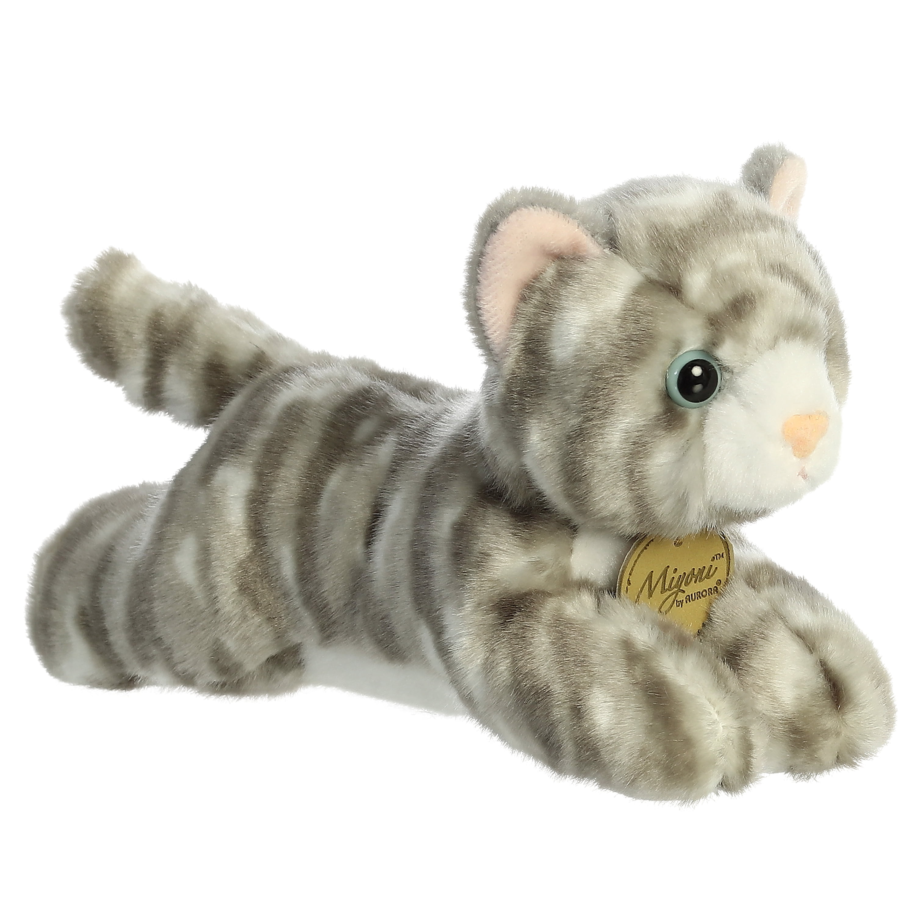 Aurora Miyoni Cat FOR SALE! - UK - View #8